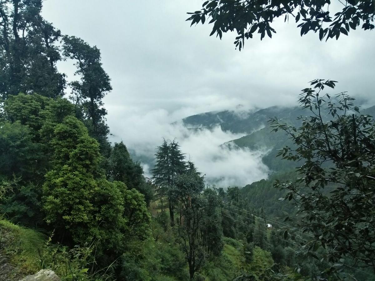 Oyo 11877 Royal Residency Hotel New Tehri Camera foto